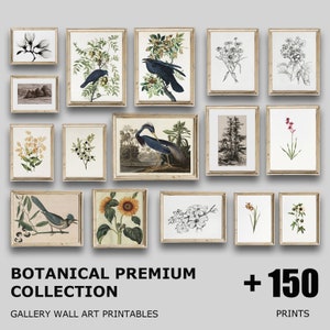 Pacchetto vintage botanico, set stampabile floreale di +150, schizzo di arte della parete, stampe di uccelli Audubon, set di gallerie di fiori botanici vintage