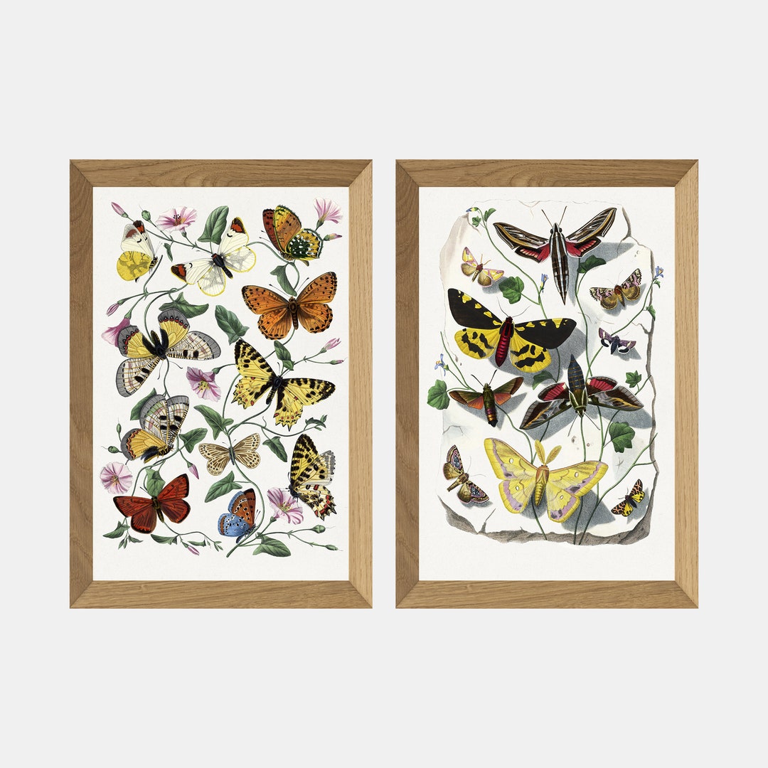Vintage Botanical Printable, Vintage Butterflies Gallery Wall Art Set ...