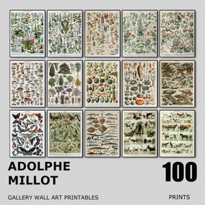Adolphe Millot Botanische Prints, Vintage Gallery Wall Art Set van 100, Botanische Plant Poster, Adolphe Millot Natuur, Bundel Larousse van 100