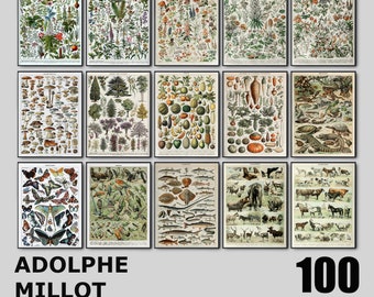 Impresiones botánicas de Adolphe Millot, conjunto de arte de pared de galería vintage de 100, cartel de plantas botánicas, naturaleza de Adolphe Millot, paquete larousse de 100