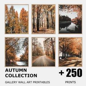 Herbst Landschaft druckbar, Bundle Set von +250, Galerie Wand Kunst Set von +250, Herbst Wald Poster, Herbst Natur Drucke