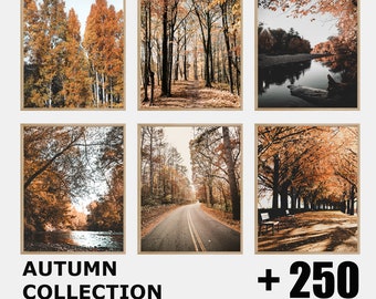 May include: A collection of six autumn-themed printable wall art prints. Each print features a different scene of a forest with fall foliage in shades of orange, yellow, and brown. The prints are framed in a simple, rustic style.