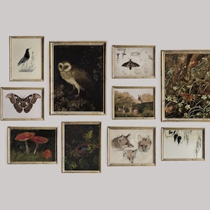 Dark Academia Decor Set, Dark Vintage Printable Gallery Wall Art Set Of 10, Cottagecore Nature Prints, Owl, Moth, Wolf