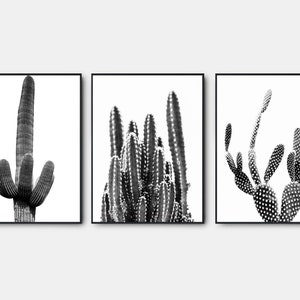 Cactus Desert Photo, Arizona Desert Black And White Prints, Gallery Wall Art Set Of 3, Saguaro Black And White Wall Art
