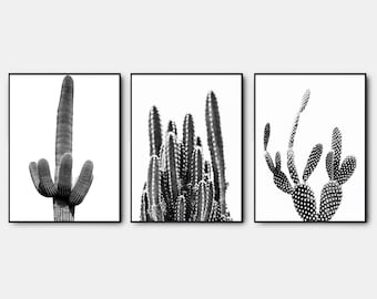 May include: A set of three black and white prints featuring different types of cacti. The prints are framed in black frames and are perfect for adding a touch of nature to any room.