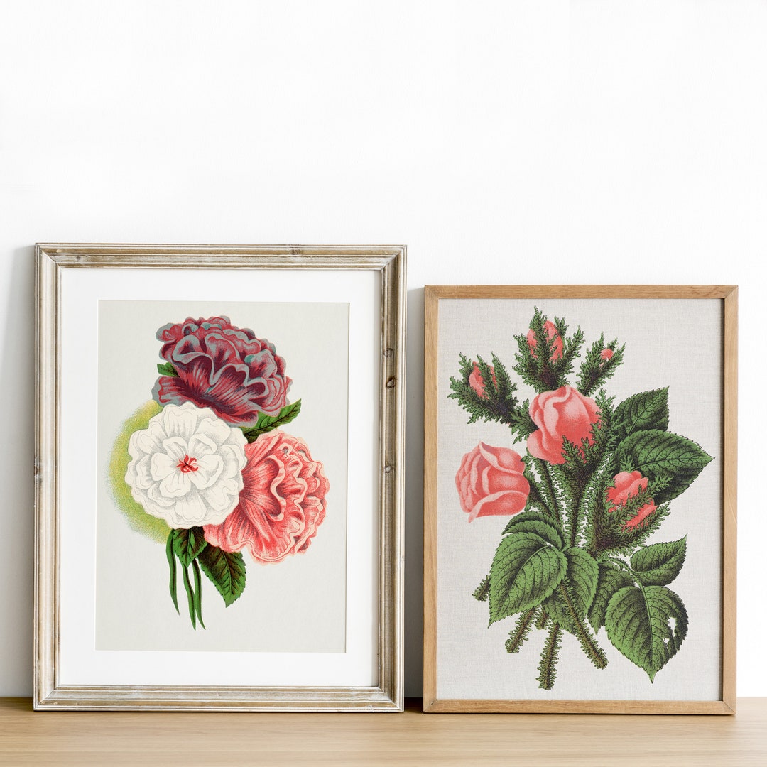 Vintage Botanical Printable, Vintage Flowers Gallery Wall Art Set of 2 ...