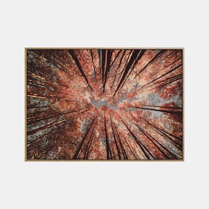 Paisaje de otoño imprimible, arte de pared de paisaje imprimible de otoño, cartel del bosque de otoño, impresión de descarga digital de la naturaleza de otoño