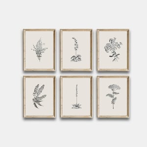 Vintage Sketch Country Flowers Printable, Vintage Botanical Gallery Wall Art Set Of 6, Neutral Flowers Drawing Prints