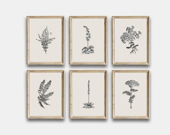 Vintage Sketch Country Flowers Printable, Vintage Botanical Gallery Wall Art Set Of 6, Neutral Flowers Drawing Prints