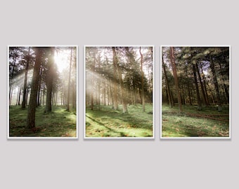 Set Of 3 Mountain Prints, Forest Wall Art Large Prints, Printable Wall Art Nature, 3 Piece Natural Landscape Forest