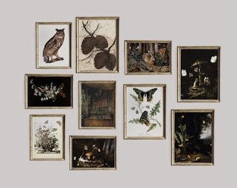 Dark Academia Decor Set, Dark Vintage Printable Gallery Wall Art Set Of 10, Cottagecore Nature Prints, Owl, Moth, Rabbit