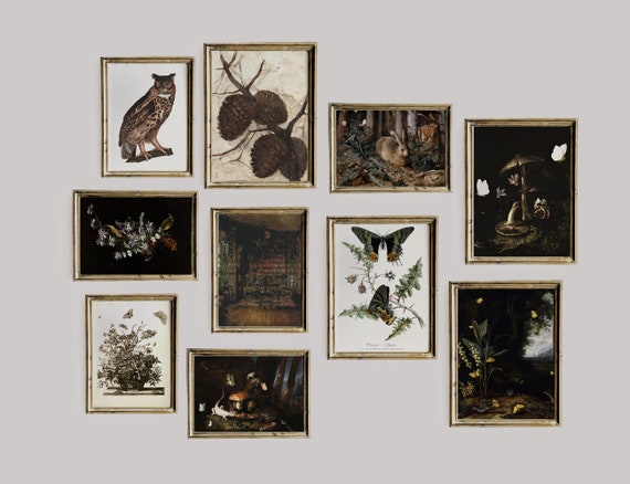 Dark Academia Decor Set, Dark Vintage Printable Gallery Wall Art Set Of 10, Cottagecore Nature Prints, Owl, Moth, Rabbit