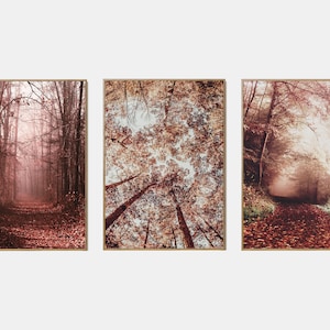 Conjunto imprimible de paisaje de otoño, conjunto de arte de pared de la galería de otoño de 3, cartel del bosque de otoño, impresiones digitales de la naturaleza de otoño