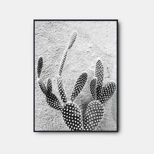 Arizona Wüste Schwarzweißdruck, Kaktus Fotografie druckbar, Wüste Schwarzweiß Wandkunst, Grand Canyon Poster