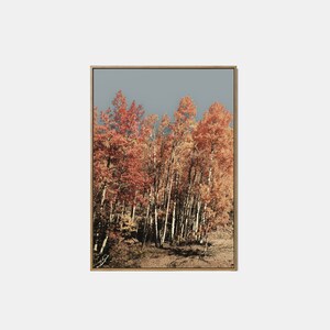 Paisaje de otoño imprimible, arte de pared de paisaje imprimible de otoño, cartel del bosque de otoño, impresión de descarga digital de la naturaleza de otoño