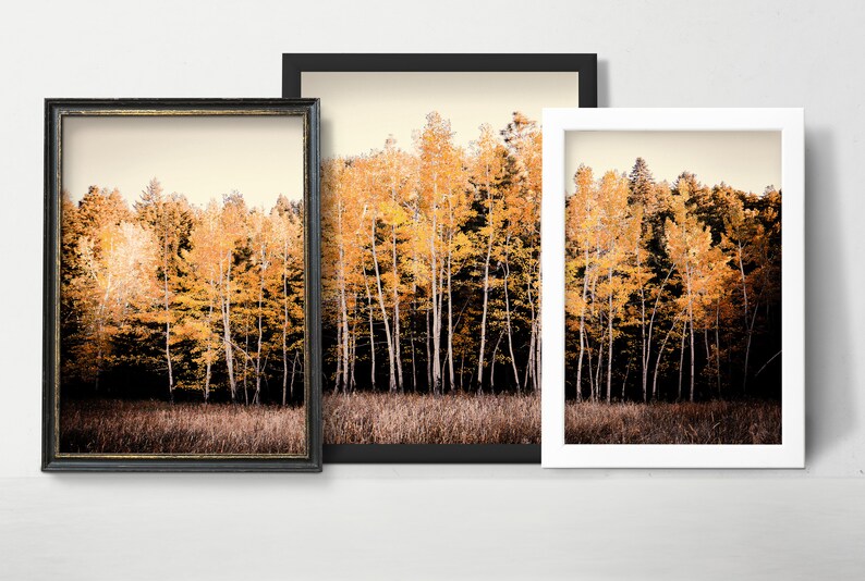 Autumn Landscape Printable Set, Fall Gallery Wall Art Set of 3, Autumn ...