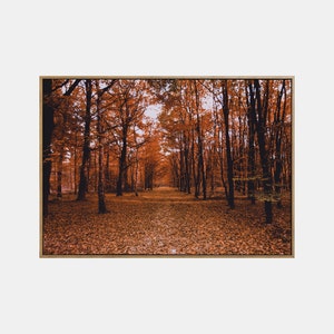 Paisaje de otoño imprimible, arte de pared de paisaje imprimible de otoño, cartel del bosque de otoño, impresión de descarga digital de la naturaleza de otoño