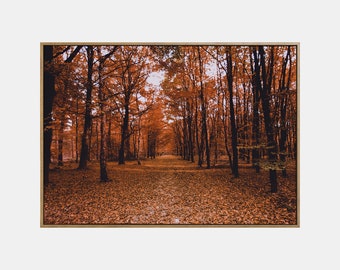 Herfstlandschap afdrukbaar, herfst afdrukbare landschapskunst aan de muur, herfstbosposter, herfstnatuur digitale downloadprint