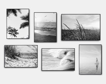 Puede incluir: Un conjunto de seis fotografías en blanco y negro que muestran varias escenas de playa. Las fotos incluyen palmeras, olas del océano, un velero y hierbas altas.