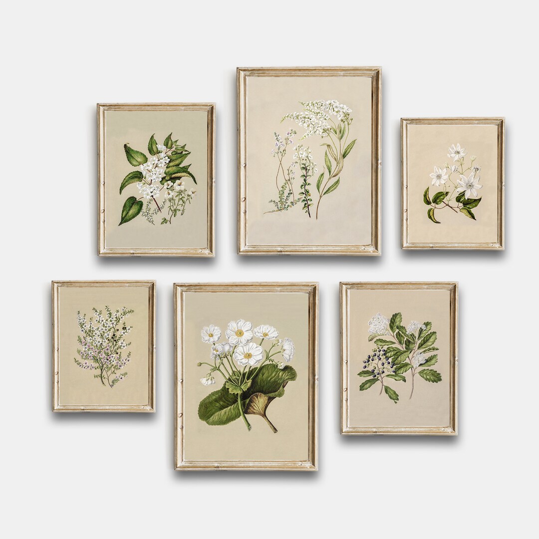 Vintage Botanical Printable, Vintage Flowers Gallery Wall Art Set of 6 ...
