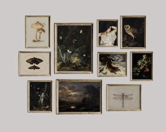 Dark Academia Decor Set, Dark Vintage Printable Gallery Wall Art Set Of 10, Cottagecore Nature Prints, Owl, Moth, Woman