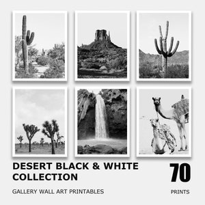Arizona Wüste Schwarz-Weiß-Drucke, Galerie-Wand-Kunst-Set von 70, Bundle Schwarz-Weiß-Wand-Kunst, südwestliches Foto