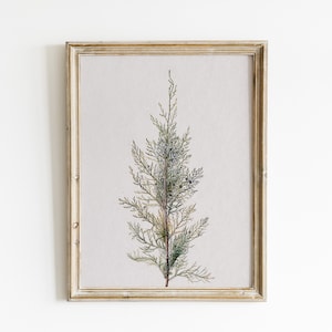 Winter Branch Print, Christmas Vintage Printable, Antique Christmas Poster, Winter Xmas Vintage Wall Art, Holiday Winter
