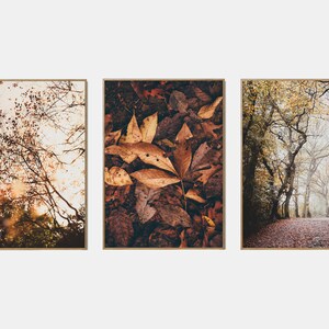 Conjunto imprimible de paisaje de otoño, conjunto de arte de pared de la galería de otoño de 3, cartel del bosque de otoño, impresiones digitales de la naturaleza de otoño
