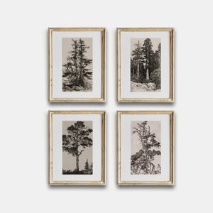 Vintage botanische druckbare, Vintage Bäume Skizze Galerie Wand Kunst 4er Set, botanische Druck, antike Baum Skizze Poster