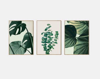 Monstera Leaves Print Set Of 3, Botanical Gallery Wall Print Set, Green Tropical Leaf Wall Art, 3 Piece Monstera Poster