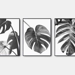 Monstera Leaves Prints, Botanical Gallery Wall Art Set Of 3, Beach Black And White Prints, Black And White Tropical Leaf
