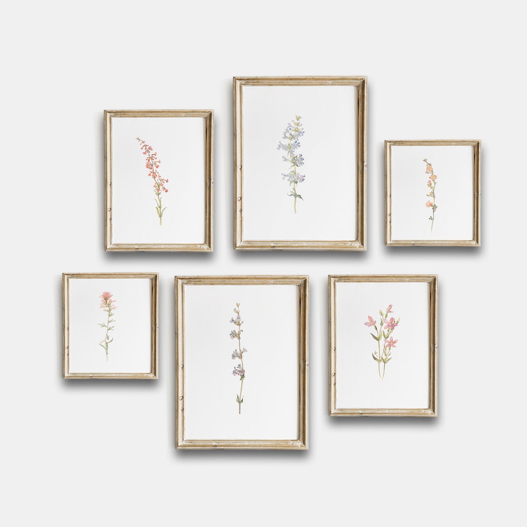 Vintage Botanical Printable, Vintage Flowers Gallery Wall Art Set of 6 ...