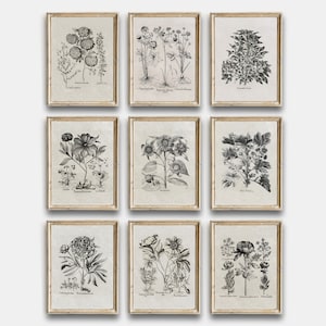 Vintage Skizze Land Blumen druckbare, Vintage Botanische Galerie Wandkunst Set von 9, Neutrale Blumen Zeichnung Drucke