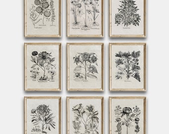 May include: Nine black and white botanical illustrations of various flowers, framed in a light wood frame. The illustrations are in a vintage style and feature detailed drawings of the flowers and their leaves.