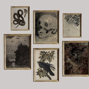 Dark Academia Decor Set, Dark Vintage druckbare Galerie Wand Kunst Set von 6, Cottagecore Nature Print, Schlange, Rabe, Skull