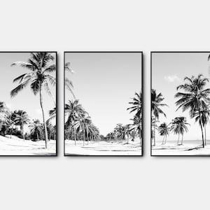 Impresión de palmeras, impresión de playa en blanco y negro, conjunto de arte de pared de galería de 3, arte de pared en blanco y negro, póster del océano tropical