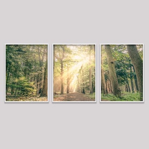 Set Of 3 Mountain Prints, Forest Wall Art Large Prints, Printable Wall Art Nature, 3 Piece Natural Landscape Forest