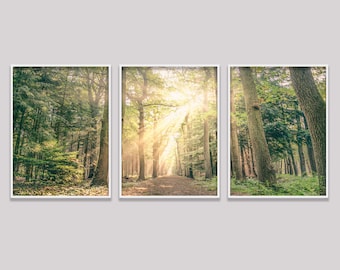 Set Of 3 Mountain Prints, Forest Wall Art Large Prints, Printable Wall Art Nature, 3 Piece Natural Landscape Forest