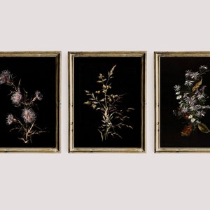 Moody Vintage Floral Print, Dark Printable Gallery Wall Art Set Of 3, Dark Academia Decor Set, Botanical Goth Painting