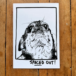 Spaced Out