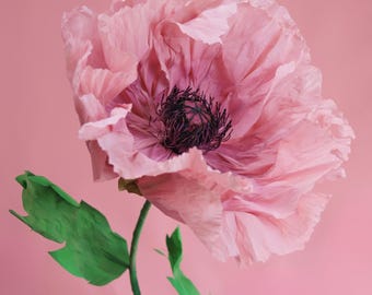 Coquelicot en papier rose géant - Décoration florale surdimensionnée faite main (Hauteur : 110-200 cm, diamètre de la floraison 65 cm)
