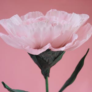 Giant Light Pink Carnation – Handmade Oversized Paper Flower (Height: 110–200 cm, 45 cm Bloom Diameter)