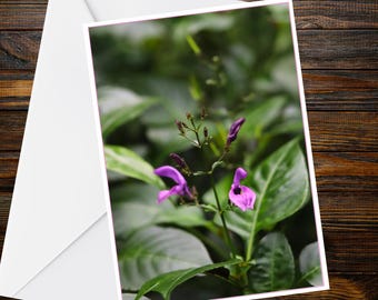 Purple Salvia Flowers, Buds & Glossy Foliage A6 Greetings Card - Inspired by Eden Collection