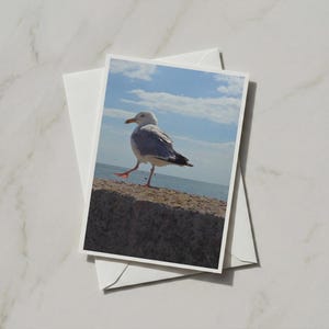 Seagull Card, Coastal Wildlife Greeting Card, Seaside Bird Photography, Beach Ocean Card