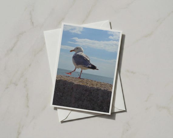 Seagull Card, Coastal Wildlife Greeting, Herring Gull Photograph - Blue Ocean Horizon | FSC 250GSM Matte | A6 105x148mm