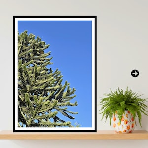 Print van een boomstam met apenmotief, unieke botanische kunst, levende fossiele natuur wanddecoratie, archiefpapier, kantoor- of huisdecoratie, boomkunstwerk