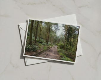 Cartolina A6 con sentiero nel bosco, fotografia naturalistica di un percorso nel bosco, paesaggio con alberi verdi, decorazione murale per una passeggiata in campagna, carta opaca certificata FSC.
