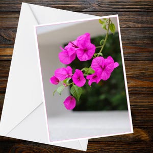 Grußkarte im A6-Format mit leuchtend magentafarbenen Bougainvillea-Hochblättern (Nahaufnahme) – Inspiriert von der Eden-Kollektion
