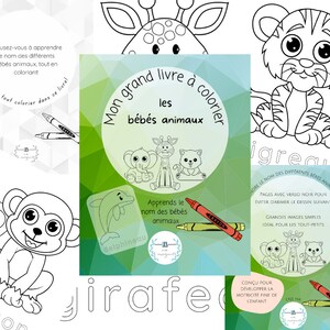 May include: A children's colouring book titled "My Big Colouring Book of Baby Animals" in French. The cover shows line drawings of a giraffe, elephant, and bear. The image also includes a monkey, tiger, and dolphin illustrations.