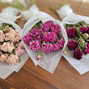 Dried Peony Flower Stems Bouquet - Pick Your Color Option